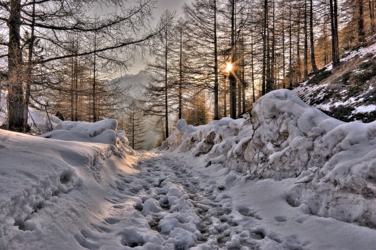 mountain, path, forest