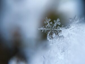 snowflake, snow, crystal