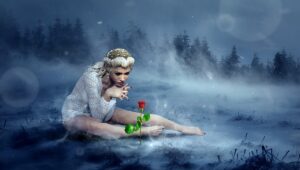 fantasy, winter, rose-3361332.jpg